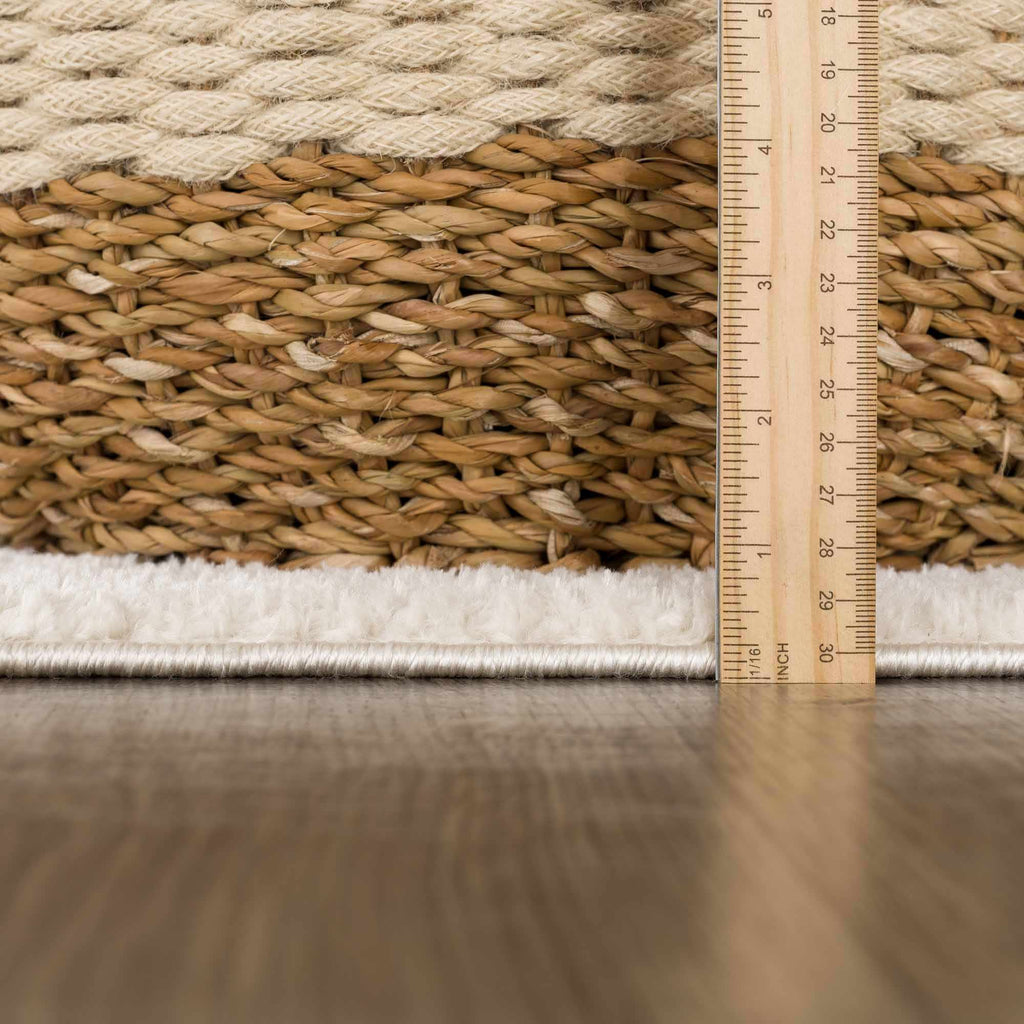 Koume Ivory & Brown Area Rug